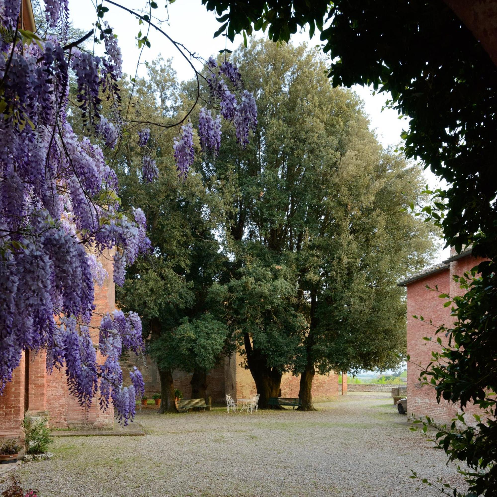 Al Glicine Di Sant'Abondio Villa Siena Exterior foto